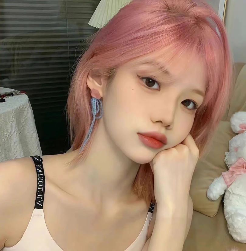 We Share Knowledge Among The World